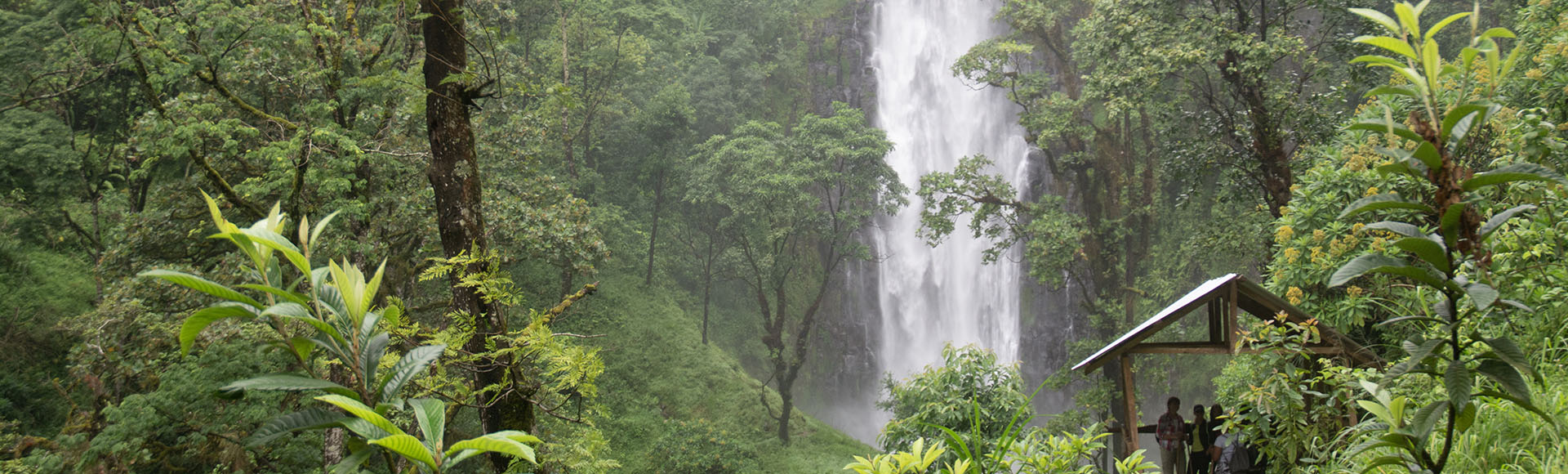 Materuni Waterfalls & Coffee Tour