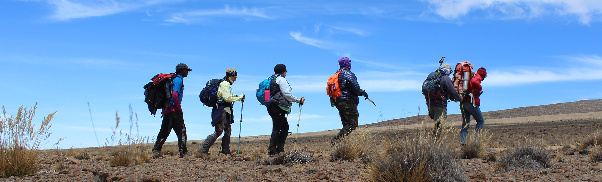 Line of trekkers walking across Kilimanjaro's open alpine desert