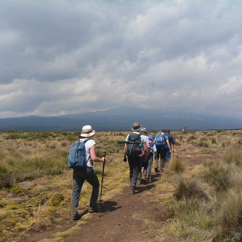 Kilimanjaro Marangu Route Day Hike