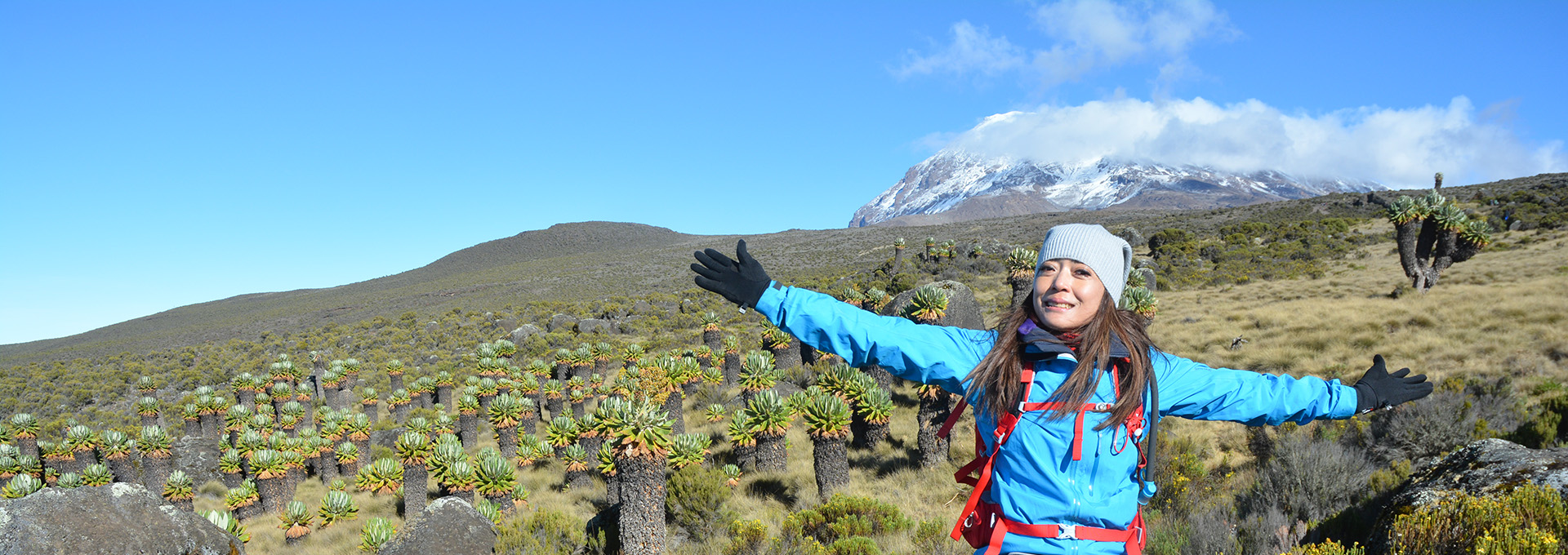 Mount Kilimanjaro at sunrise