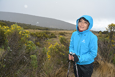 Marangu Route — 6 Days