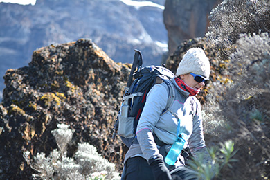 Lemosho Route — 8 Days
