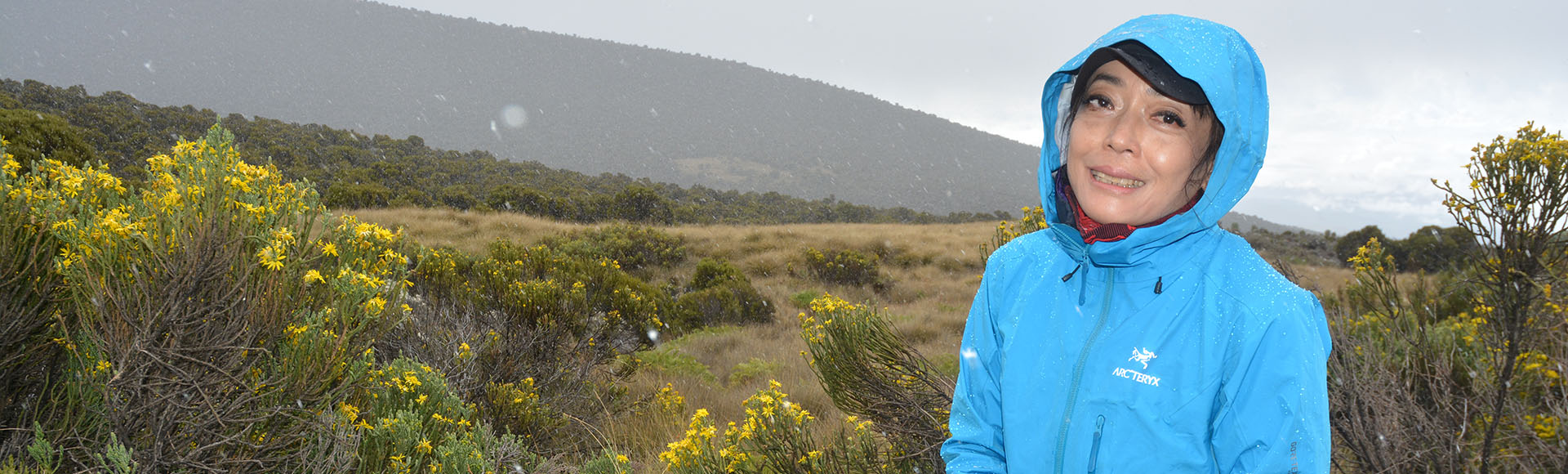 Marangu Route — 6 Days