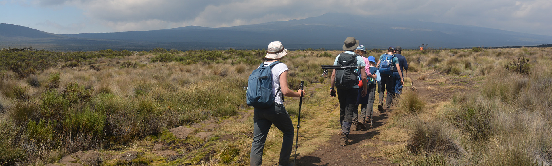 Kilimanjaro Marangu Route Day Hike